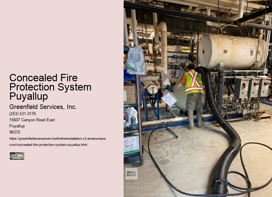 Concealed Fire Protection System Puyallup